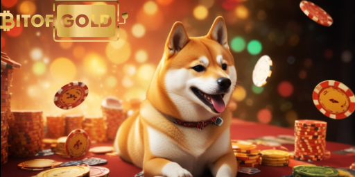 Exploring the Best Trusted Dogecoin Casinos