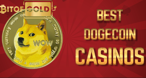 trusted dogecoin casinos