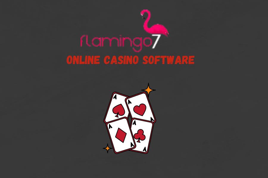 Online casino software : Gambling Experience
