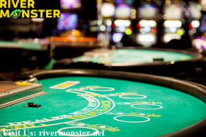 Best Software for Online Casinos